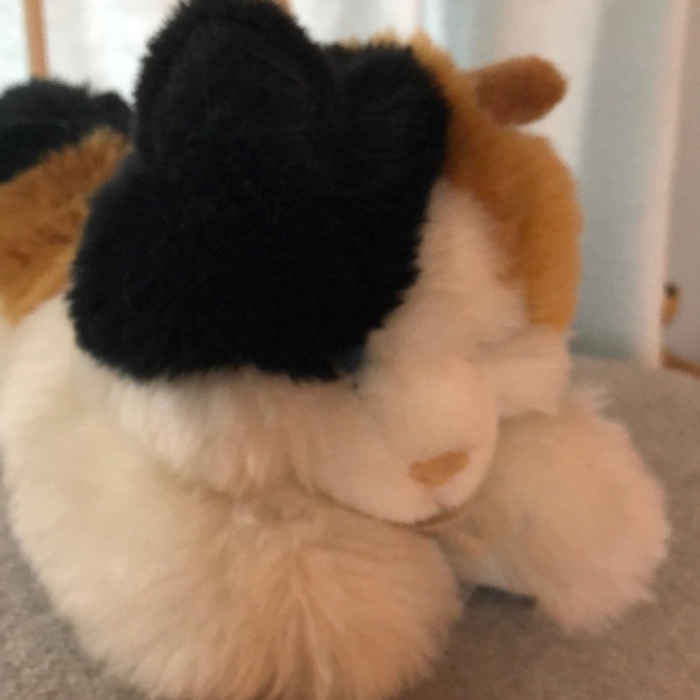 Meet your Posher, Tamara